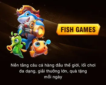 Hình ảnh minh họa khu vực câu hỏi thường gặp và hỗ trợ khách hàng